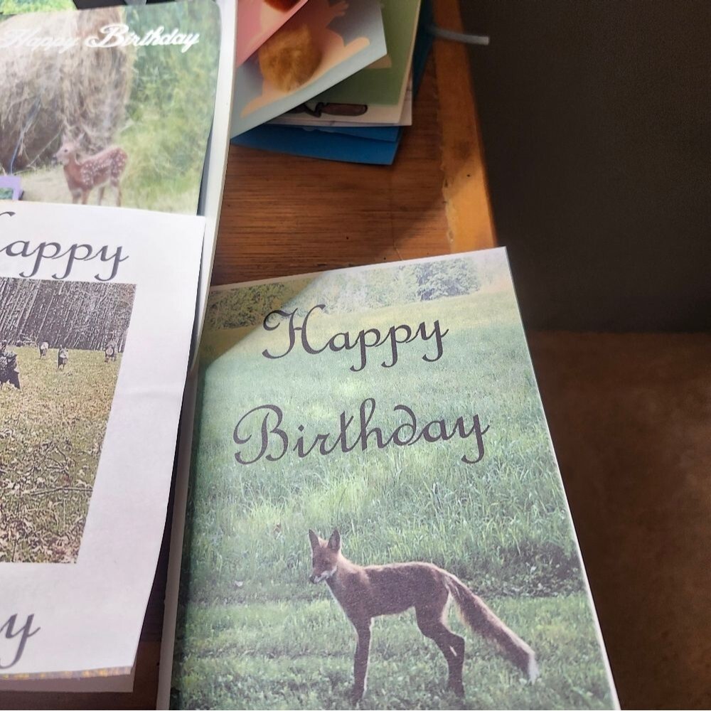 Hand Crafted Nature-Themed Birthday Cards Set Of 12 - Picture 4 of 8